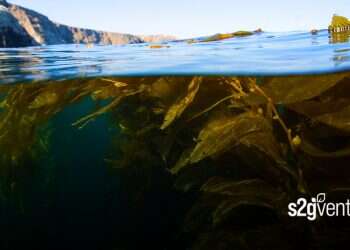 Israeli biotech company ViAqua chosen for Blue Economy investment