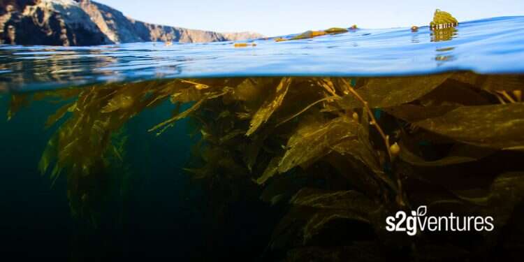 Israeli biotech company ViAqua chosen for Blue Economy investment