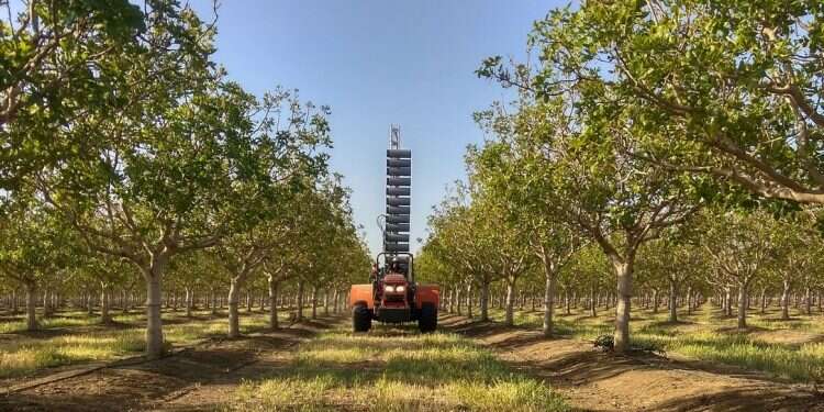Olives, dates, pistachios: Agtech startup Edete expands pollination options