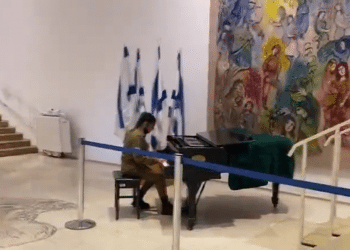 IDF soldier stops Knesset tour to play a tune