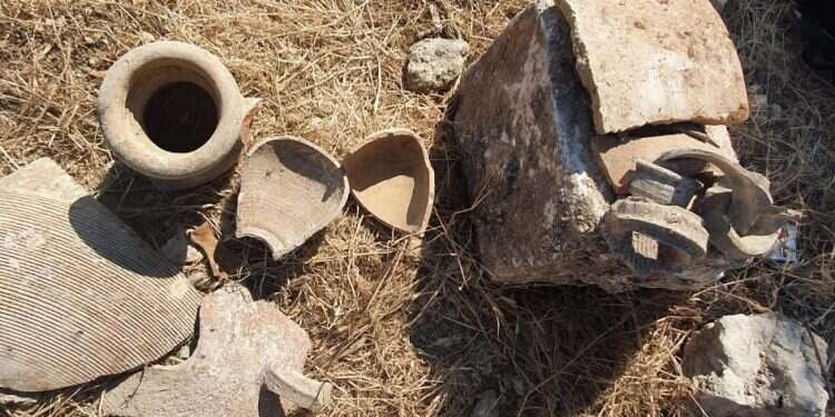 Authorities bust destructive illicit dig in northern Israel