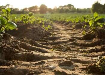 Israeli agtech startup CropX named 'Technology Pioneer' by World Economic Forum