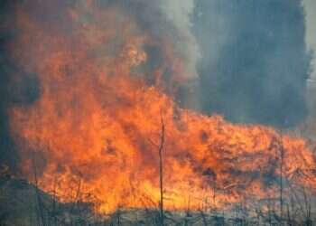 Hamas' incendiary balloons set fields ablaze just hours before Jerusalem march