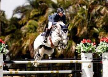 Israeli equestrian barred from Tokyo Games over horse's nationality