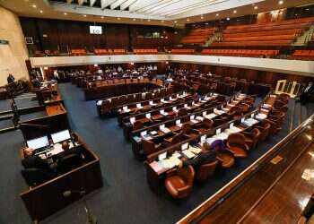 Opposition MK alleges coalition 'lied' to get citizenship law passed