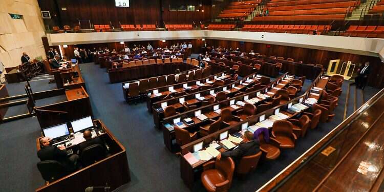 Opposition MK alleges coalition 'lied' to get citizenship law passed