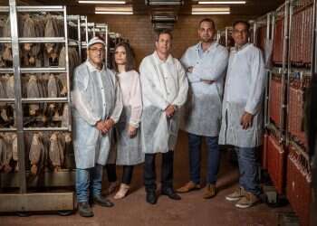 MeaTech, Tiv Ta'am grocery chain team up to develop cultivated meat products