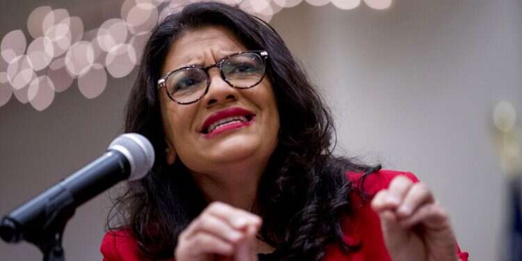 Tlaib: End tax exemption for US groups active in Judea and Samaria