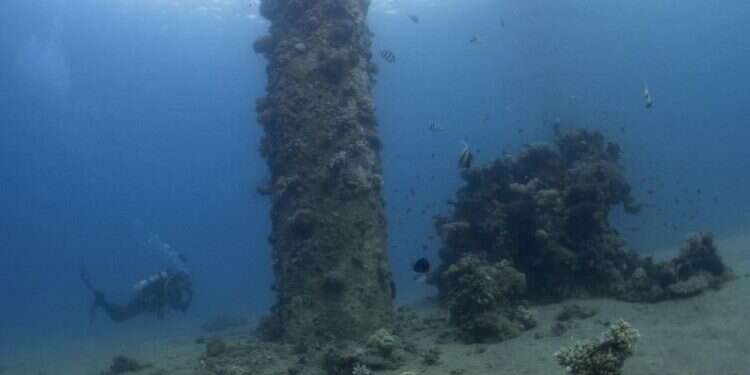 Green groups: Secretive Israel-UAE oil deal endangers prized Eilat corals