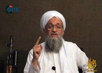 Will Taliban's rise in Afghanistan see al-Qaida rear its head?