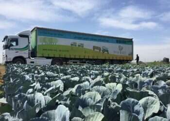 'Many donors disappeared, but Leket Israel stayed'