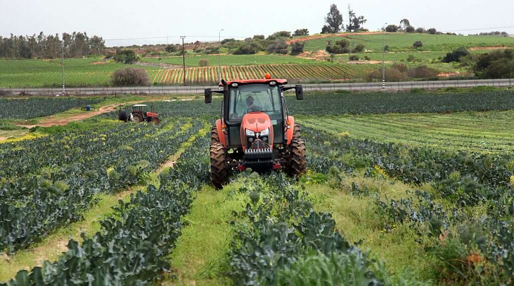 Shmita actually means hard work Jews worldwide join Israel's farm families for challenges, blessings of shmita year