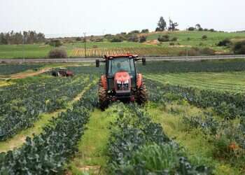 Jews worldwide join Israel's farm families for challenges, blessings of shmita year
