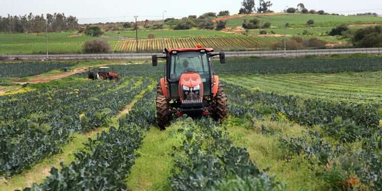 Jews worldwide join Israel's farm families for challenges, blessings of shmita year