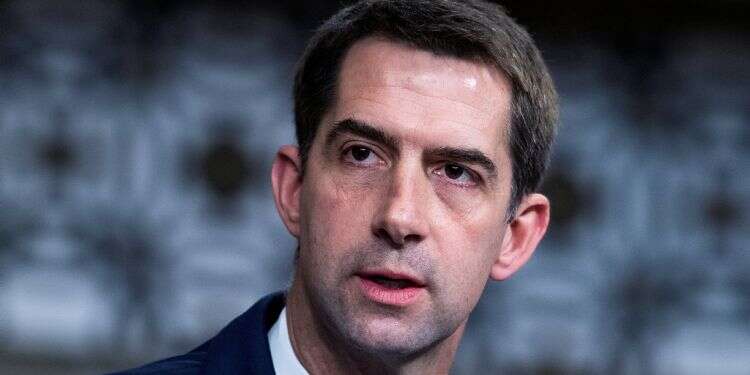 US Senator Tom Cotton Republican senators introduce bill to ban antisemitic country-of-origin labels