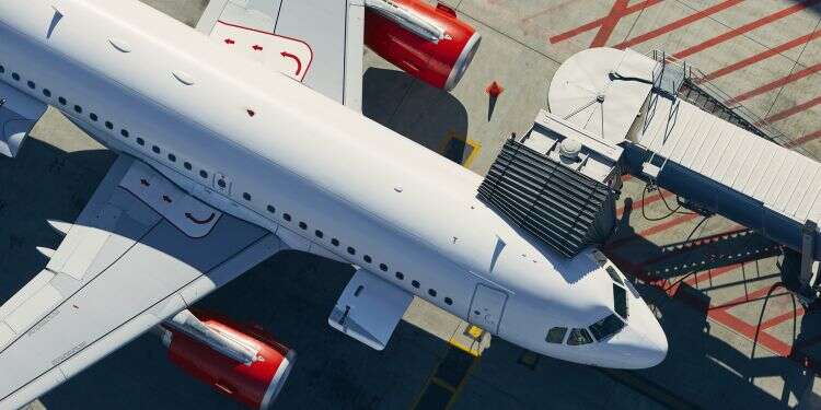 US airport issues lockdown to locate trespasser with Nazi neck tattoo