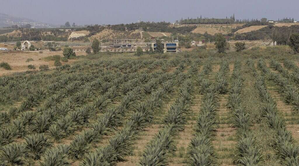 Israel signs deal with Jordan for agricultural imports during sabbatical year