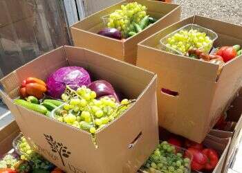 'No one will go hungry during the holidays'