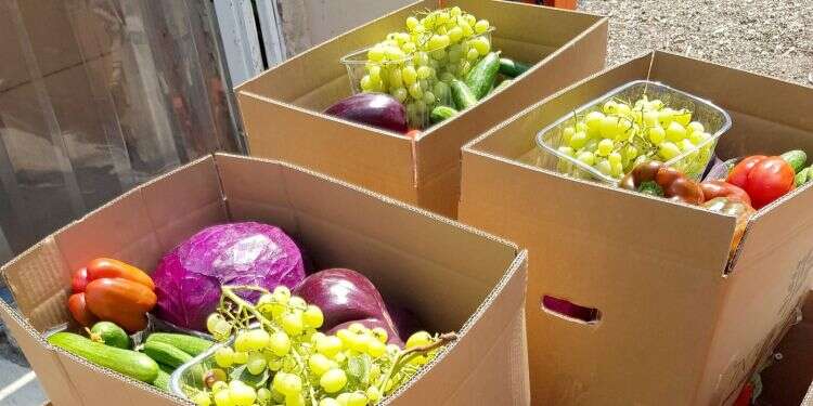 'No one will go hungry during the holidays'