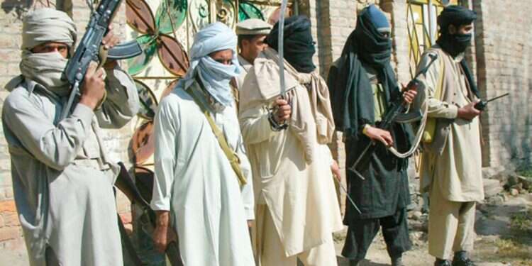 Taliban fighters in Afghanistan Afghanistan's merciless ideologists