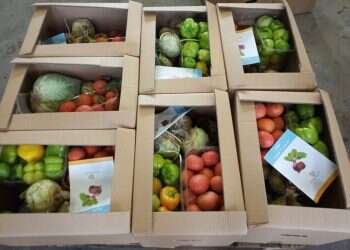 'We give oxygen to hundreds of nonprofits'