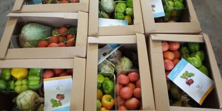 'We give oxygen to hundreds of nonprofits'