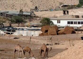 UN Holocaust education panel to focus on Israel's treatment of Bedouin