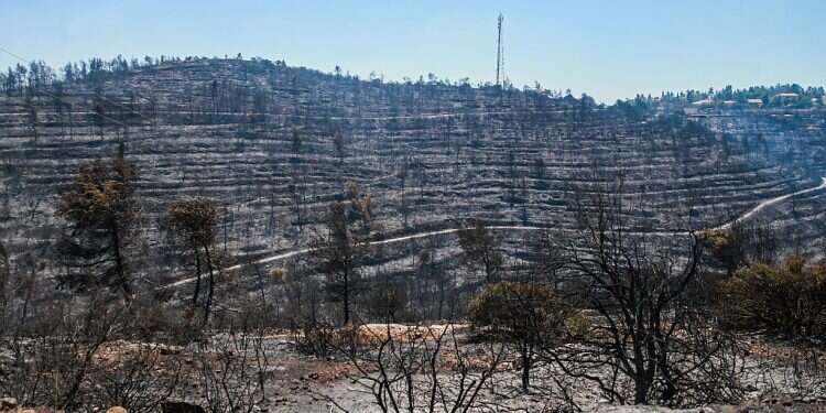 Tales of fires foretold