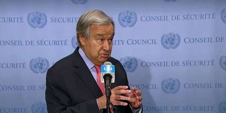 Taliban desire for recognition only leverage point, UN chief says