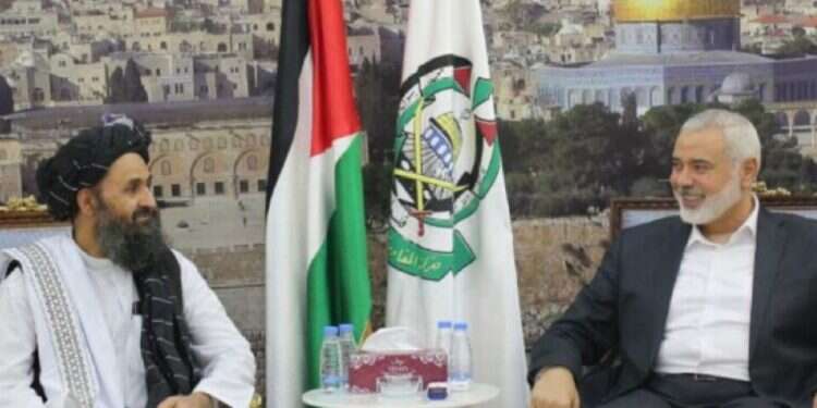 Thrown out of Saudi Arabia – into the arms of Iran and the Taliban