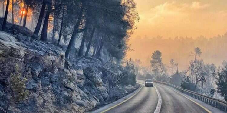 Fire services chief: Israel can cancel requests for international aid