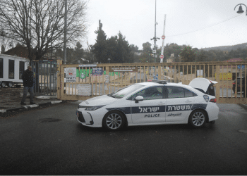 Police car stolen after cop leaves motor running