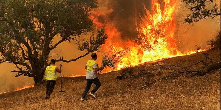 How Israel is being drawn into the Algerian-Moroccan feud