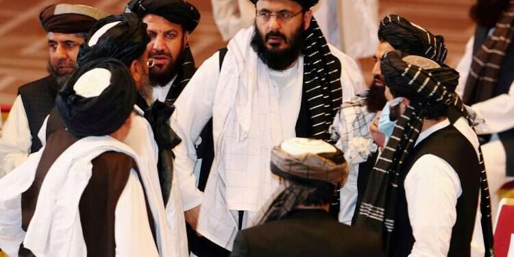 EU official: Taliban now control 65% of Afghanistan