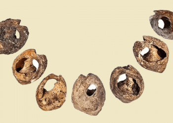 Have archaeologists discovered world's earliest form of jewelry?