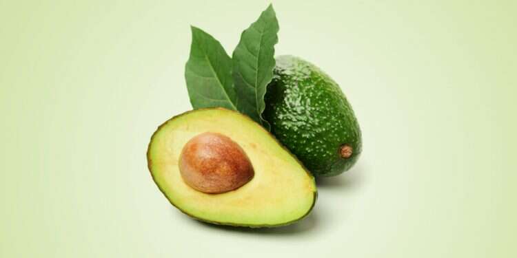 Is the 'green gold' worth a multimillion dollar bite? Fancy a bite? German artist fashions solid gold avocado sandwich