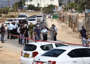 Several arrested over deadly ramming of police volunteer