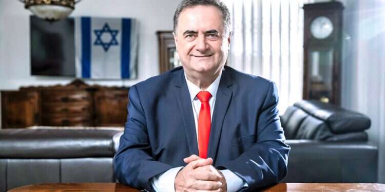 MK Israel Katz 'I will lead Likud in the post-Netanyahu era'