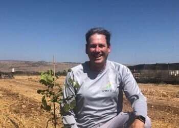 Biblical 'super fruit' hailed as way toward fair trade and sustainability