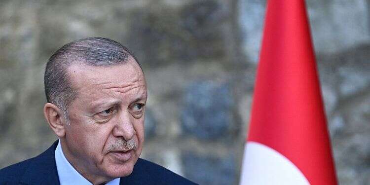 Turkey's Erdogan under fire over plan to expel 10 ambassadors