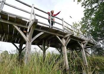 Pivotal bridge from 'Winnie the Pooh' series to be auctioned