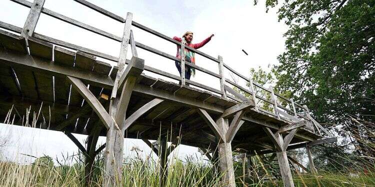 Pivotal bridge from 'Winnie the Pooh' series to be auctioned