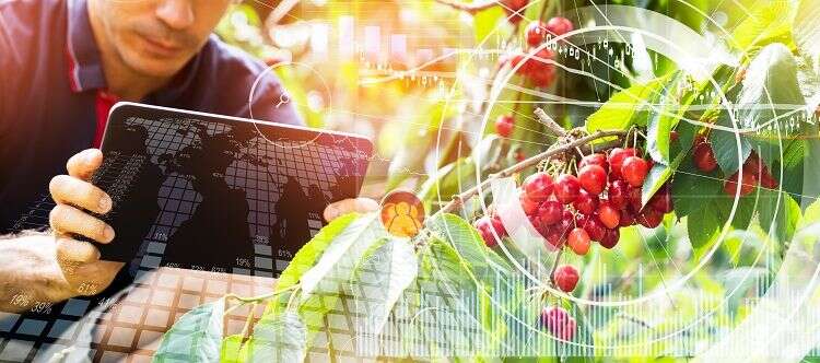 Israel is advanced when it comes to agricultural innovations 'The number of Israeli agrotech startups is simply outstanding'