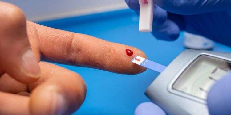 Technion biomed engineers assess novel approach to treating Type 2 diabetes