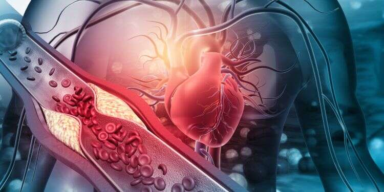 In first, Israeli researchers print blood vessels using 3D technology
