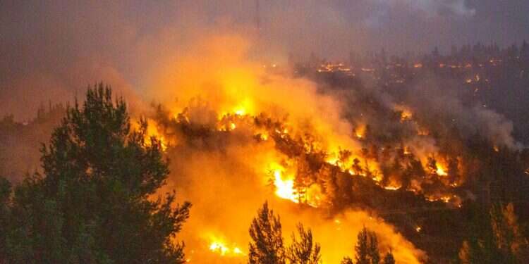 Government approves new plan to fight climate change