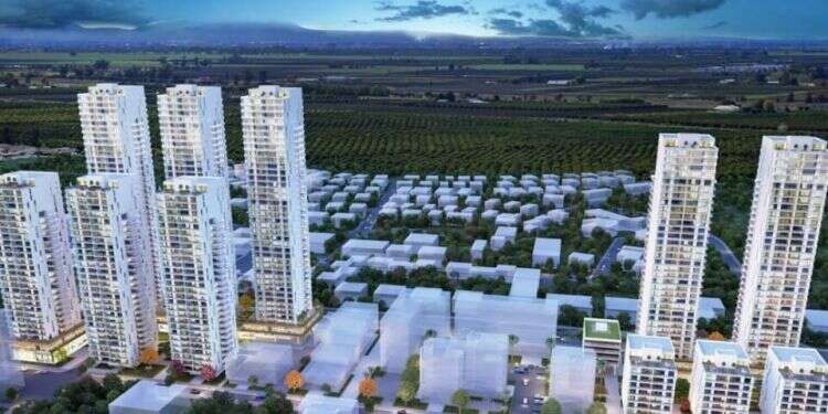 Aura shares surge amid significant growth projections