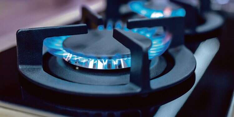 'Decision to pause offshore gas exploration jeopardizes Israel's energy security'