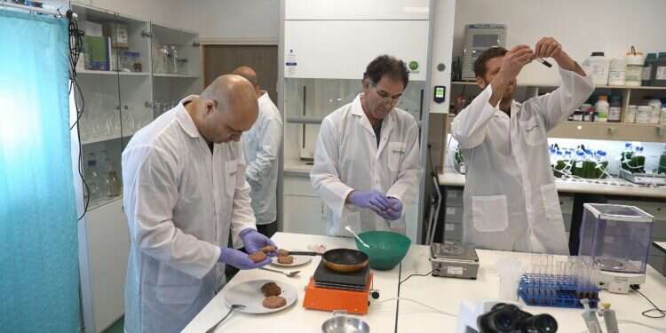 Startup stumbles across surprising way to make veggie burgers 'bleed'