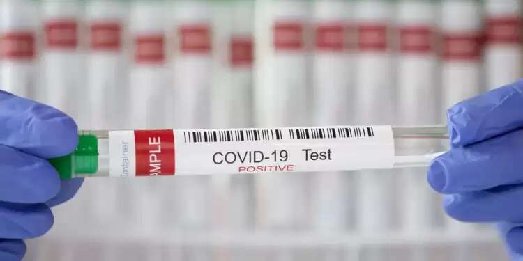 European Union governments should ramp up COVID-19 immunizations of children, study says Global daily average of new COVID cases hits record 1M